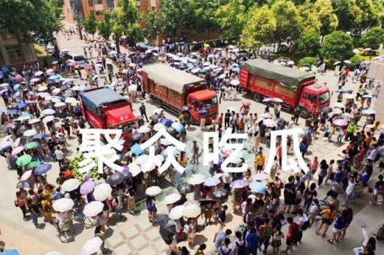 51吃瓜今日吃瓜必吃学生学院,揭秘学生学院今日必吃瓜料，校园风云尽收眼底