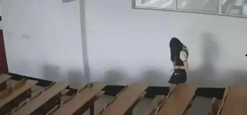 黑科技大学吃瓜,揭秘校园风云背后的真相