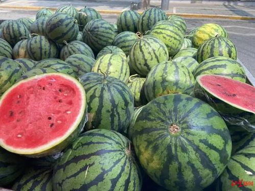 400斤大瓜价今日价