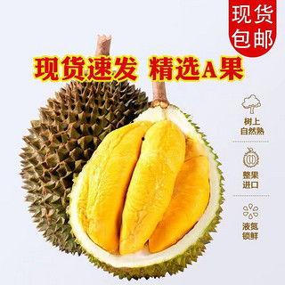 白瓜今日零售价,新鲜直供，价格亲民