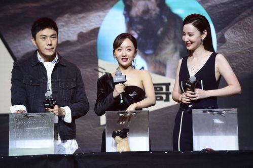 我在娱乐圈吃瓜爆红最新,揭秘幕后爆红背后的故事