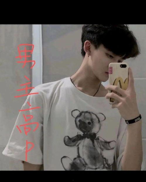 对象是明星网红小说