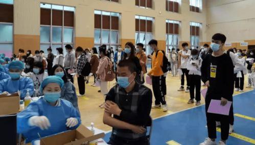 星野吃瓜爆料最新消息,娱乐圈最新爆料，揭秘明星幕后真相！