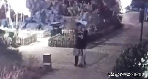 热门吃瓜集中营视频,盘点那些让人笑到肚子疼的瓜料