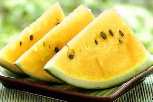 北仑吃瓜各种热门事件,吃瓜群众视角下的热门事件盘点