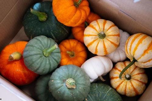 北仑吃瓜各种热门事件,吃瓜群众视角下的热门事件盘点