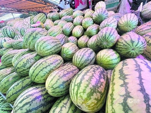 今日甜王瓜价格多少,甜蜜来袭，价格几何？