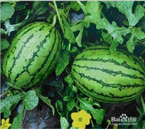 51cg热门大瓜今日吃瓜反差,今日吃瓜反差，揭秘娱乐圈真实面目