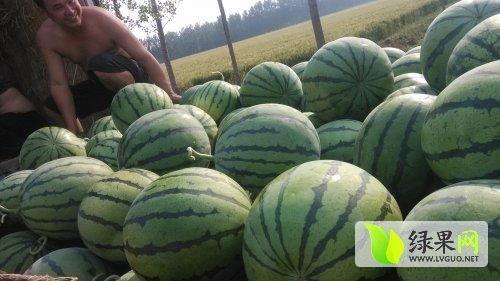 济南最新吃瓜热门事件,揭秘最新网红美食风云录