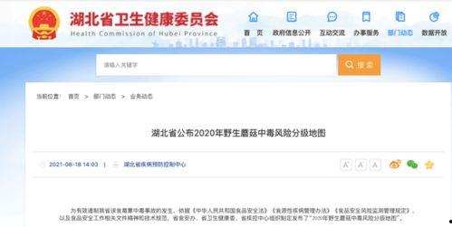 热门事件-51吃瓜年度报告蘑菇,蘑菇视角下的娱乐圈风云录