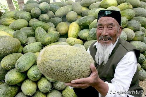 吐鲁番哈密瓜今日价格,价格行情一览”