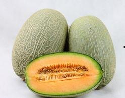 吐鲁番哈密瓜今日价格,价格行情一览”