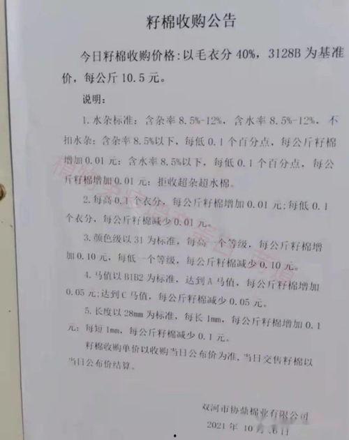瓜州今日棉价行情查询,实时数据揭示市场动态
