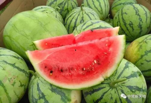 今日吃瓜网红看料-海外吃瓜