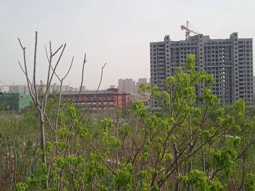 黑料吃瓜曹县翰林府,揭秘黑料背后的真相与争议